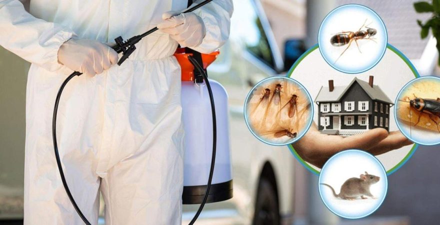 Eceabat Böcek İlaçlama