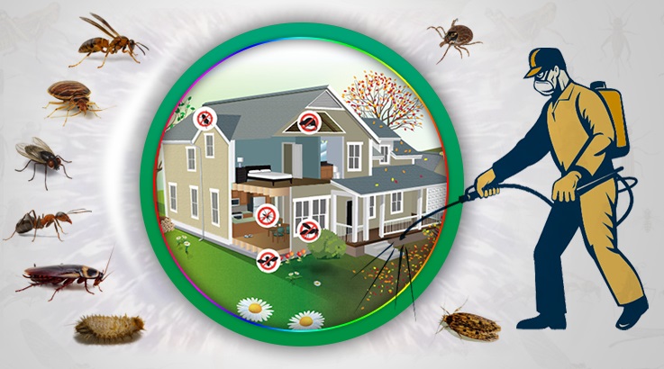 Eceabat Böcek İlaçlama