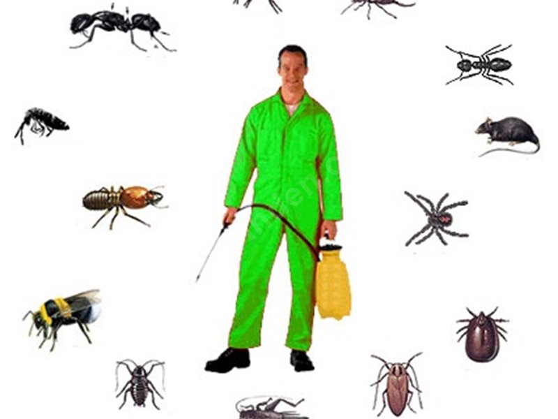 Eceabat Böcek İlaçlama